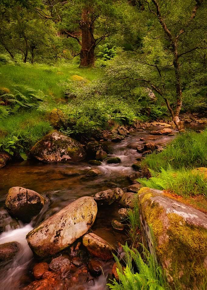 Scenic mountain creek