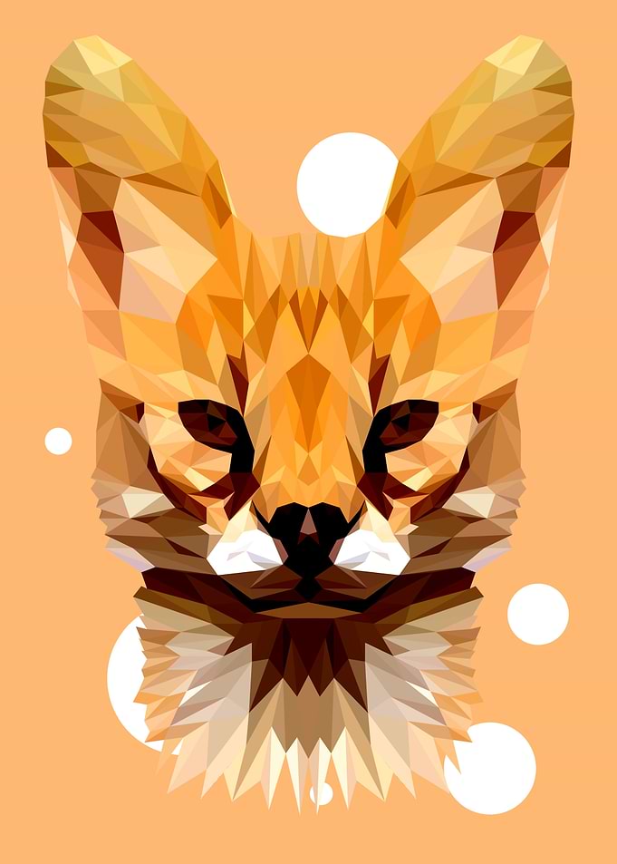Wild Cat
