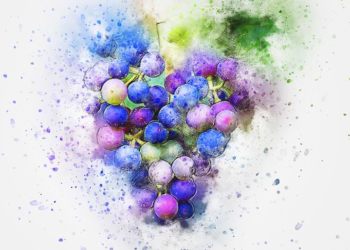 Grapes Fruit Abstract