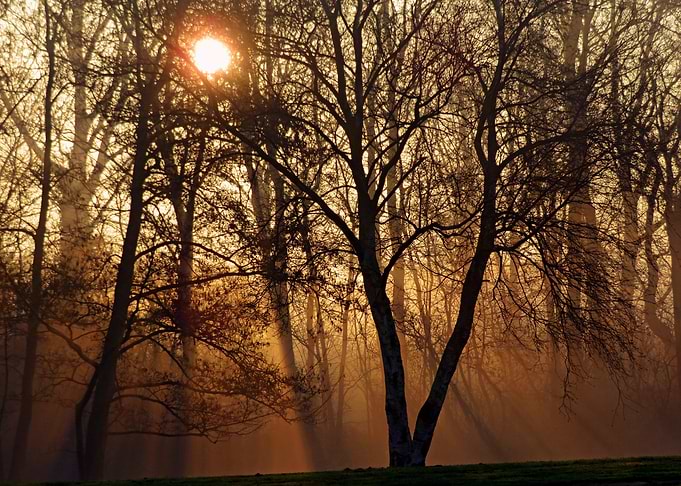Good Morning Sunrise