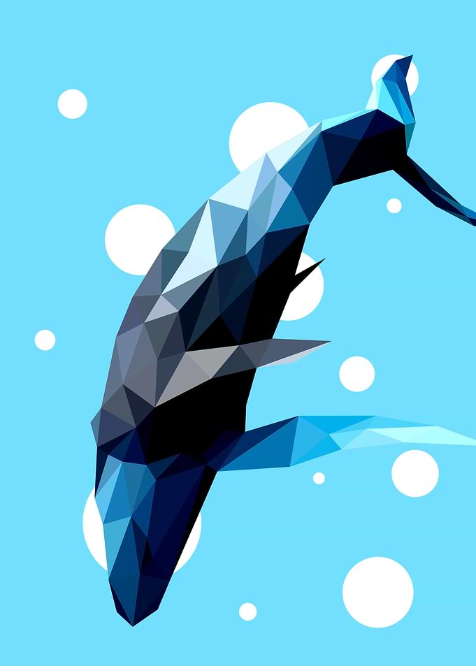 Whale