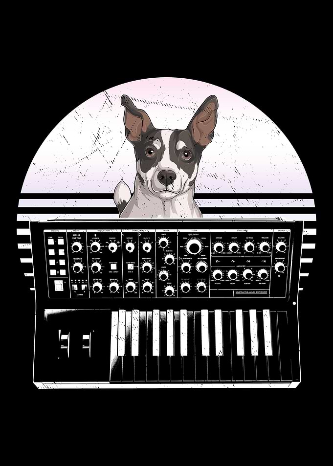 Jack Russell Terrier