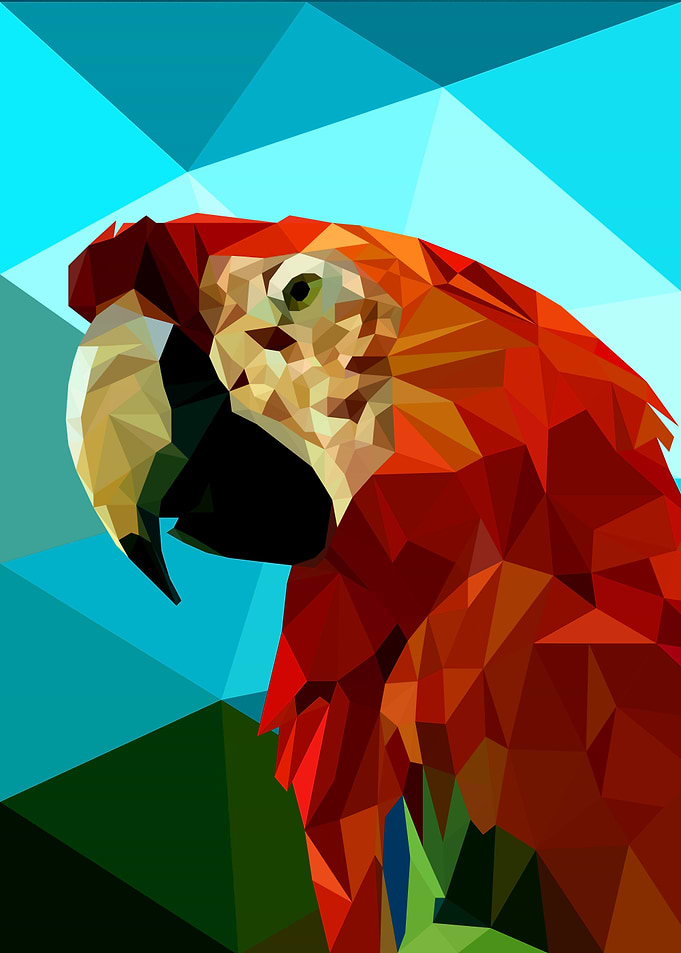 Macaw