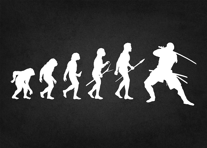 evolution of samurai