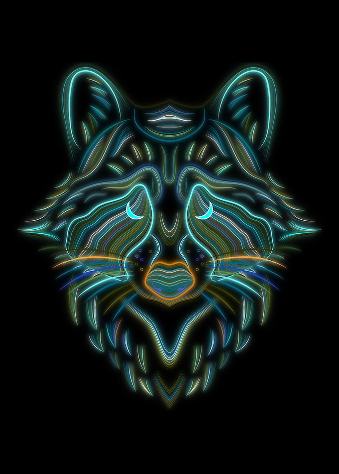 RACCOON