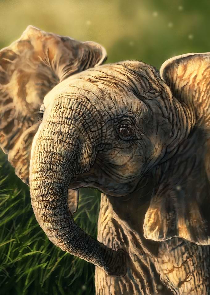 Baby Elephant