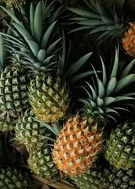 pineapple