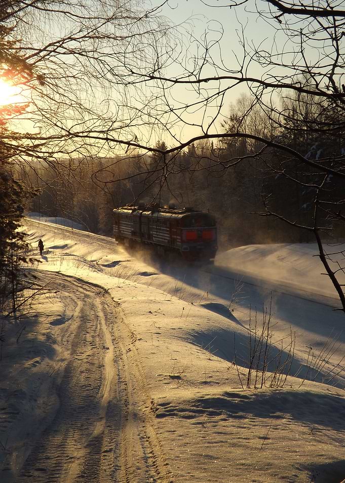 Winter Train