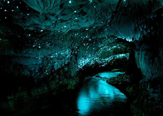 Waitomo caves New Zealand