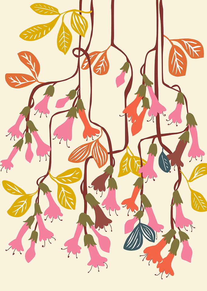 colorful fuchsia