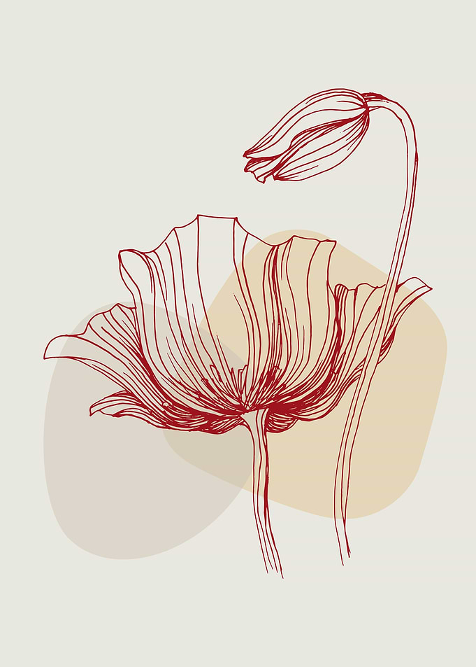 Minimal Boho Poppies