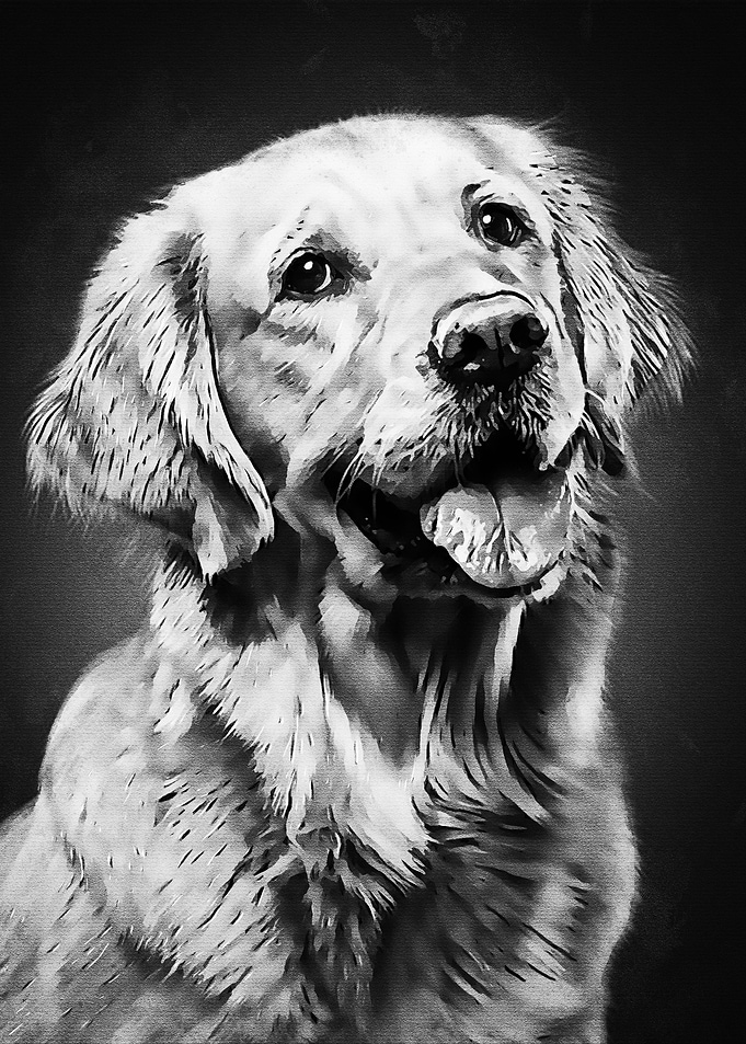 Black Funny Dog