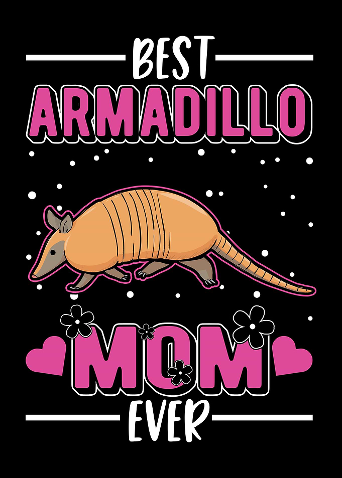 Armadillo Gift