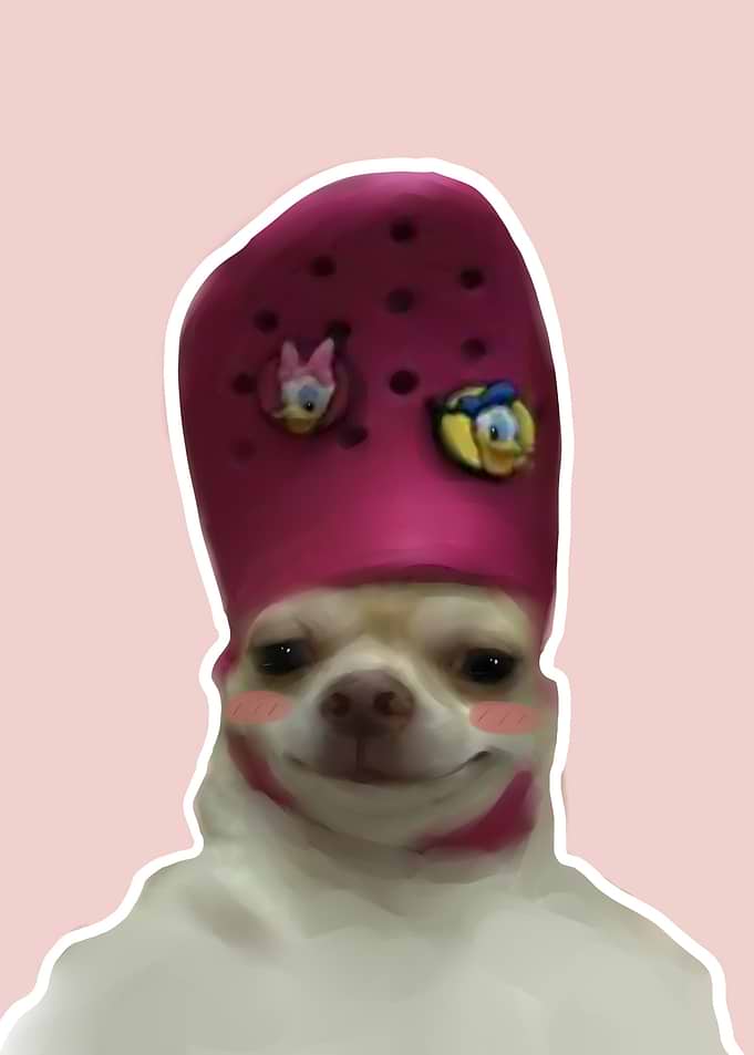 dog with crocs slippers