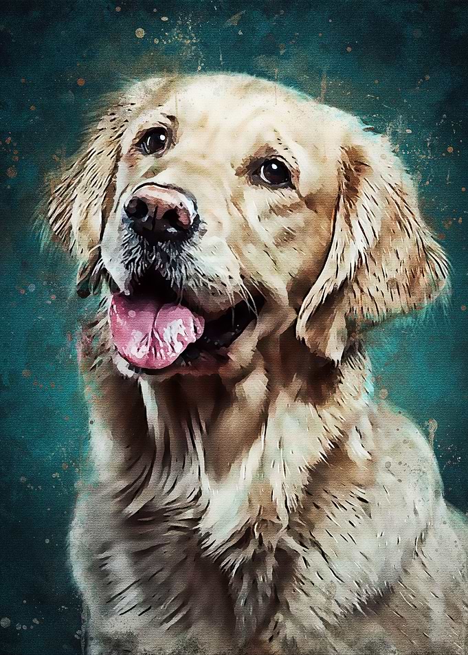 Splatter Dog New