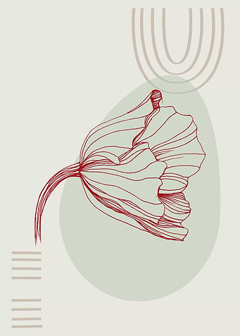 Poppies Minimalist