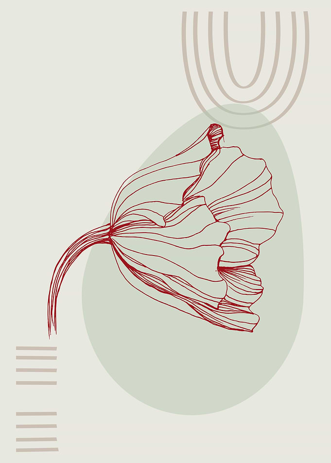 Poppies Minimalist