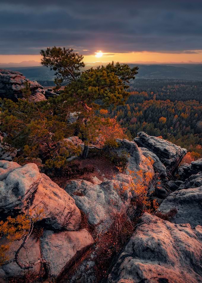 Mountain Vibes