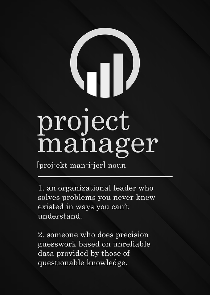 Project Manager Definition