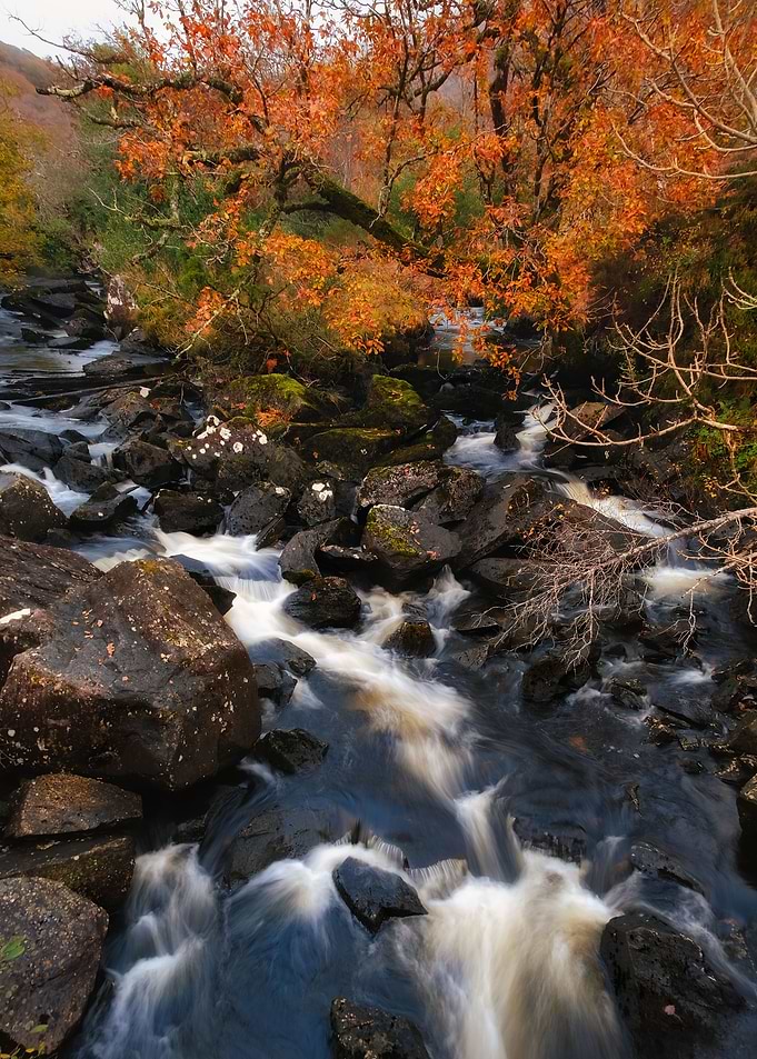 Mountain stream