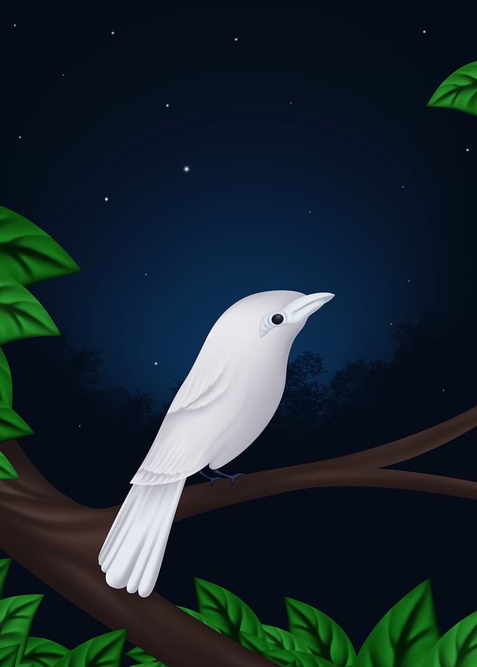 A White Starling