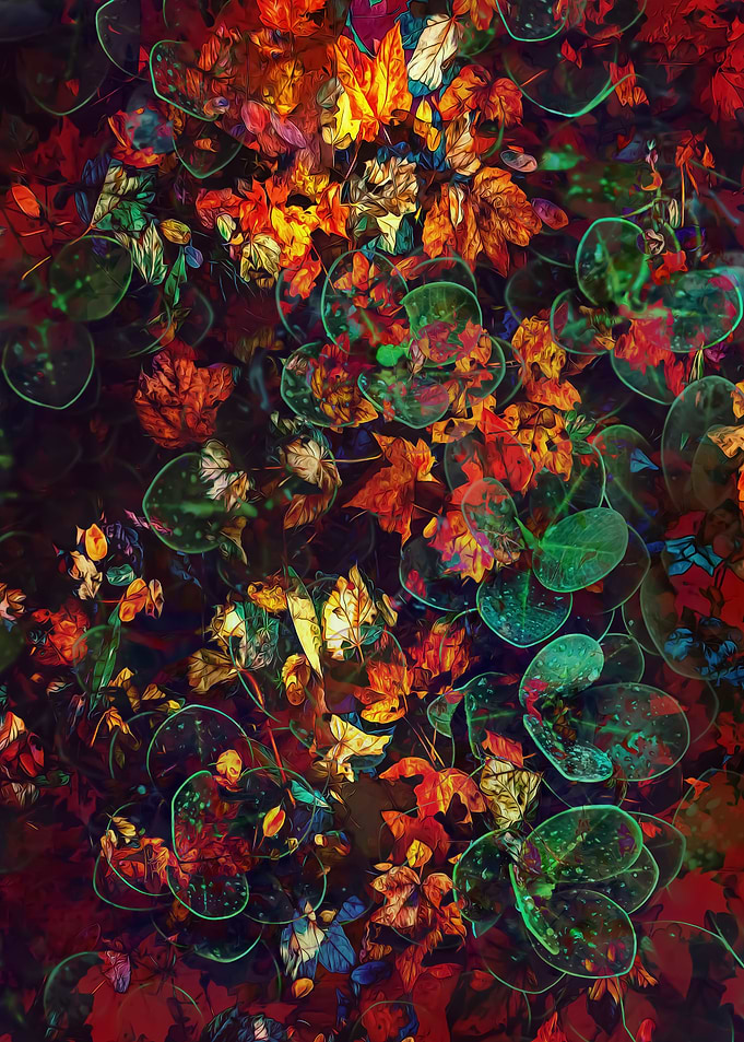 Small Leaves