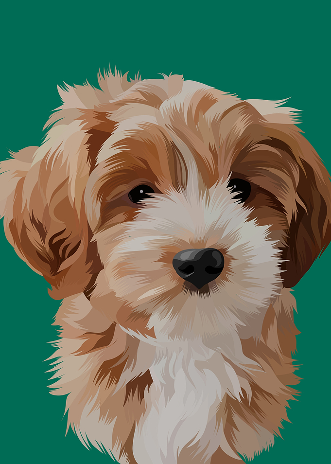 Cute Dog