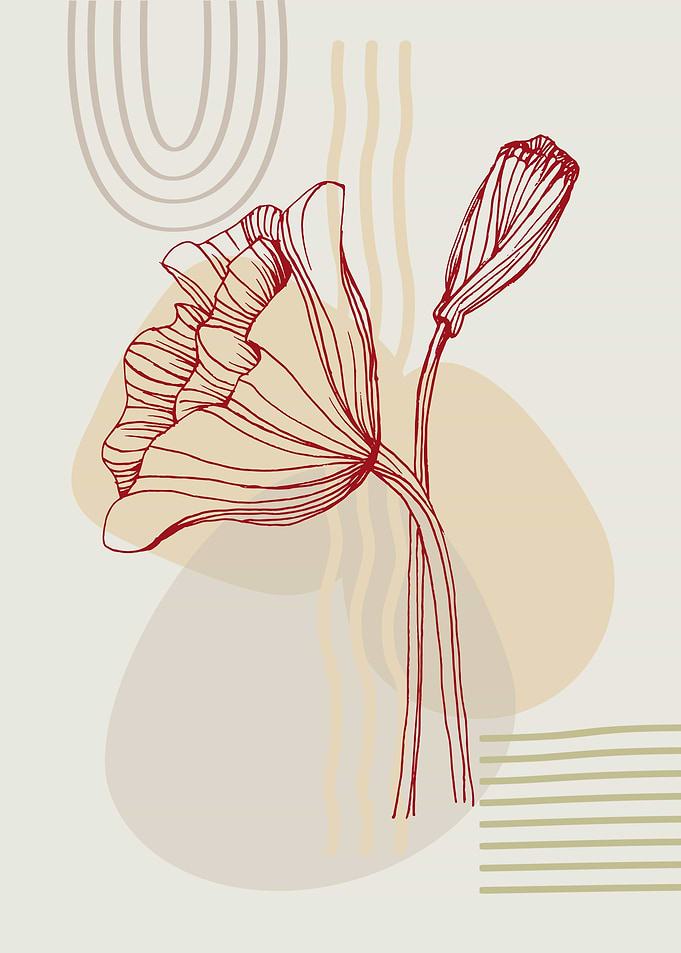 Poppy poppies Minimal