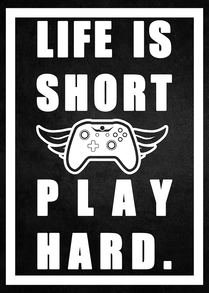Life is short play hard