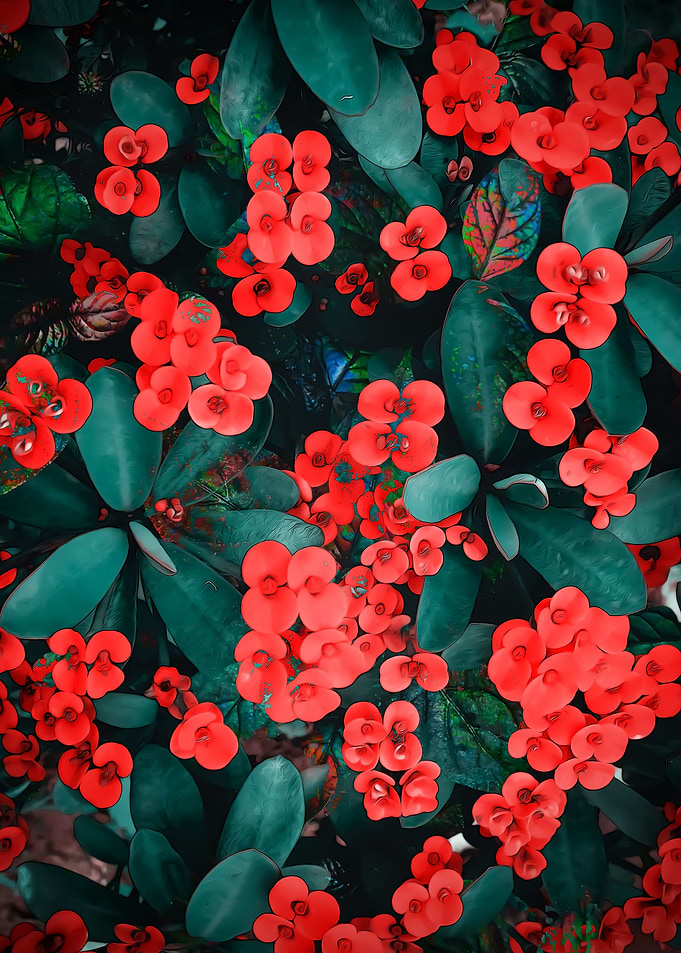Hawaiian Leaves