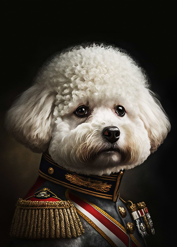 Military Dog