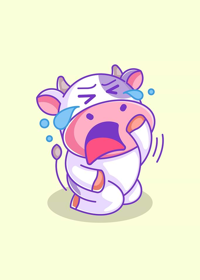 A cute cow is sitting and