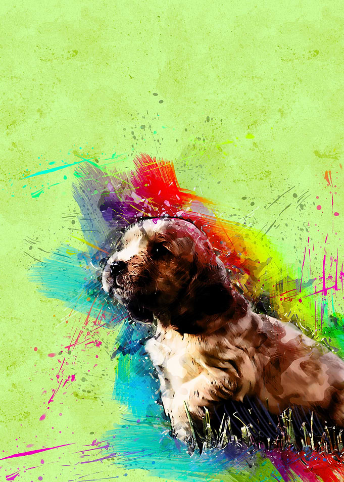 Dog 227