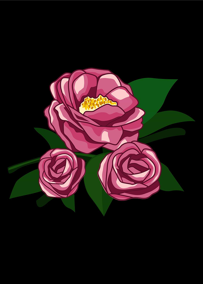 camelia poster art