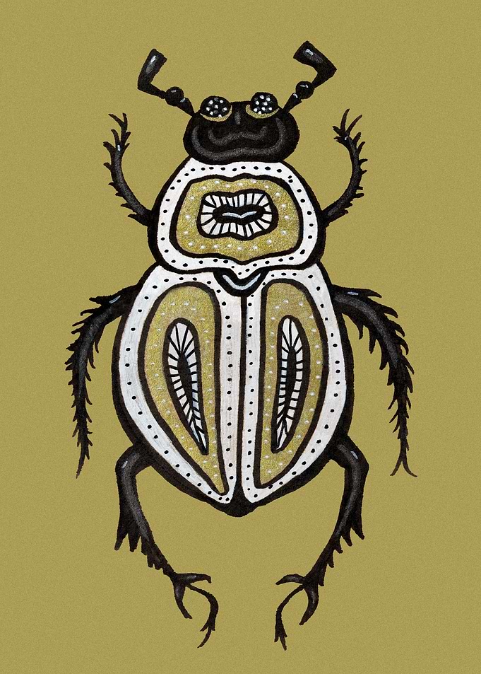 Fun Beetle Insect Art