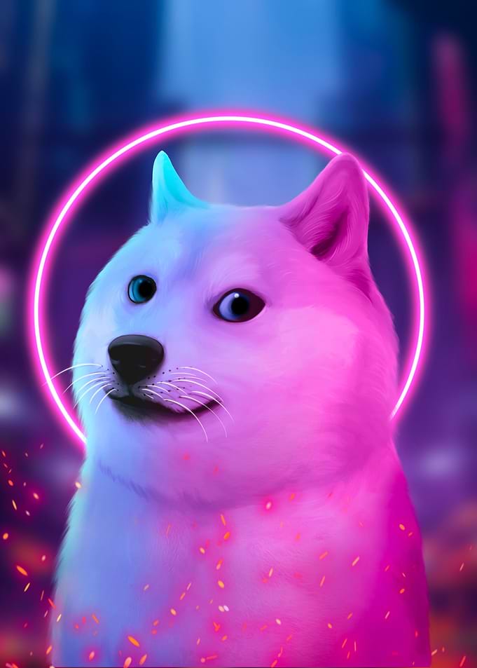 shiba neon
