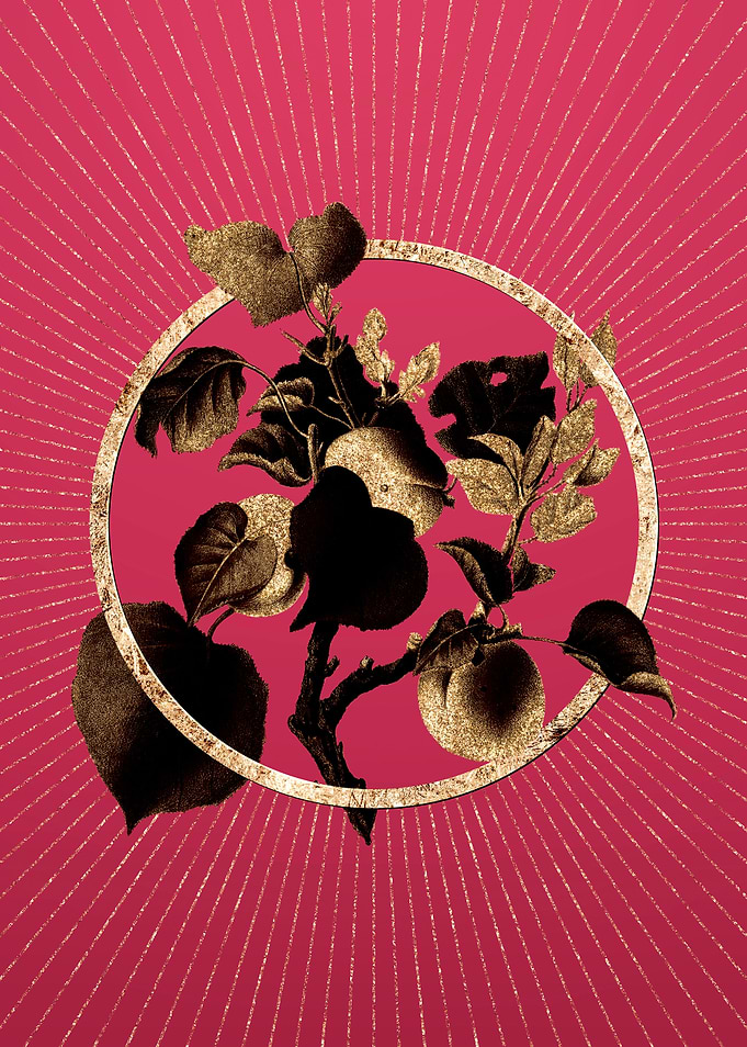 Apricot on Viva Magenta