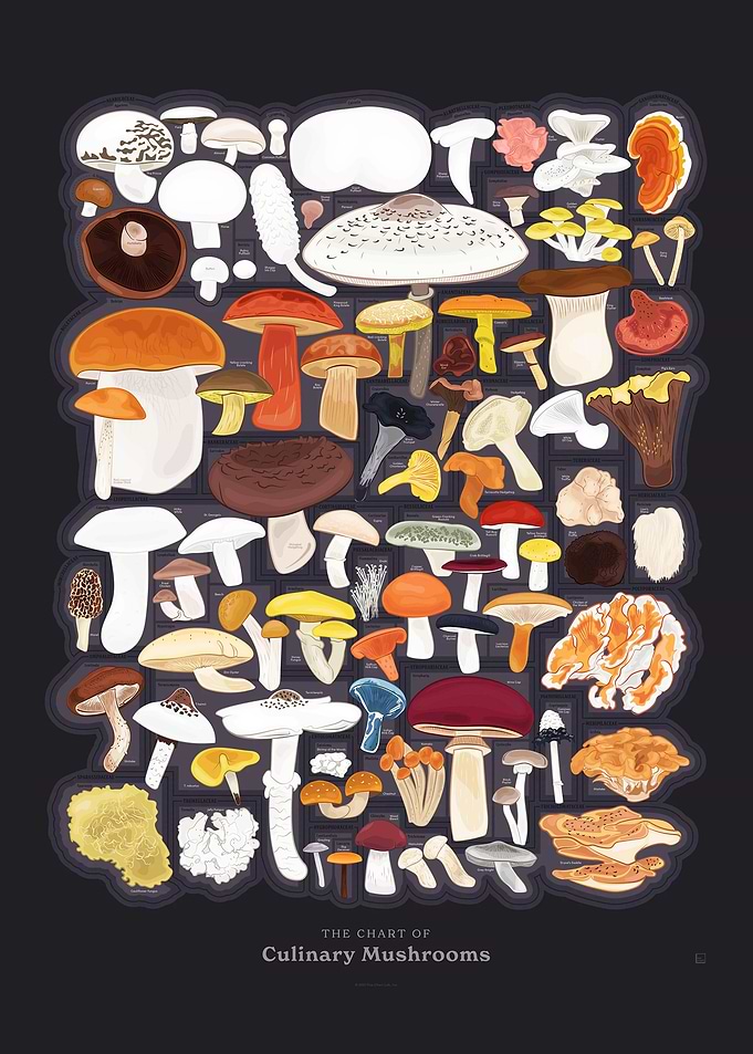 The Chart of Mushrooms