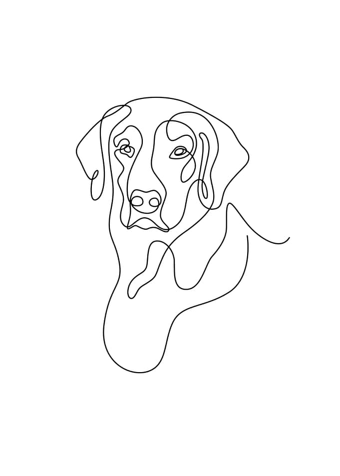 Golden Retriever Line Art