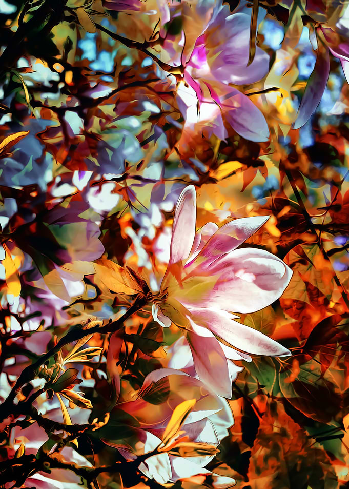 Spring Leaves