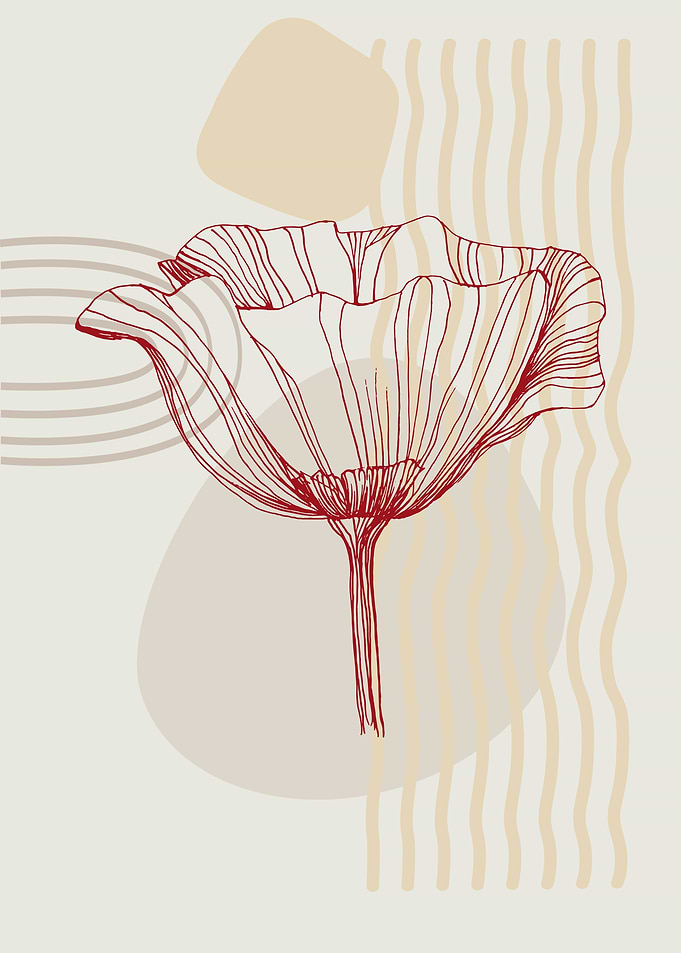 Poppy poppies Minimal