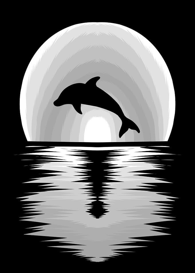 Dolphin silhouette