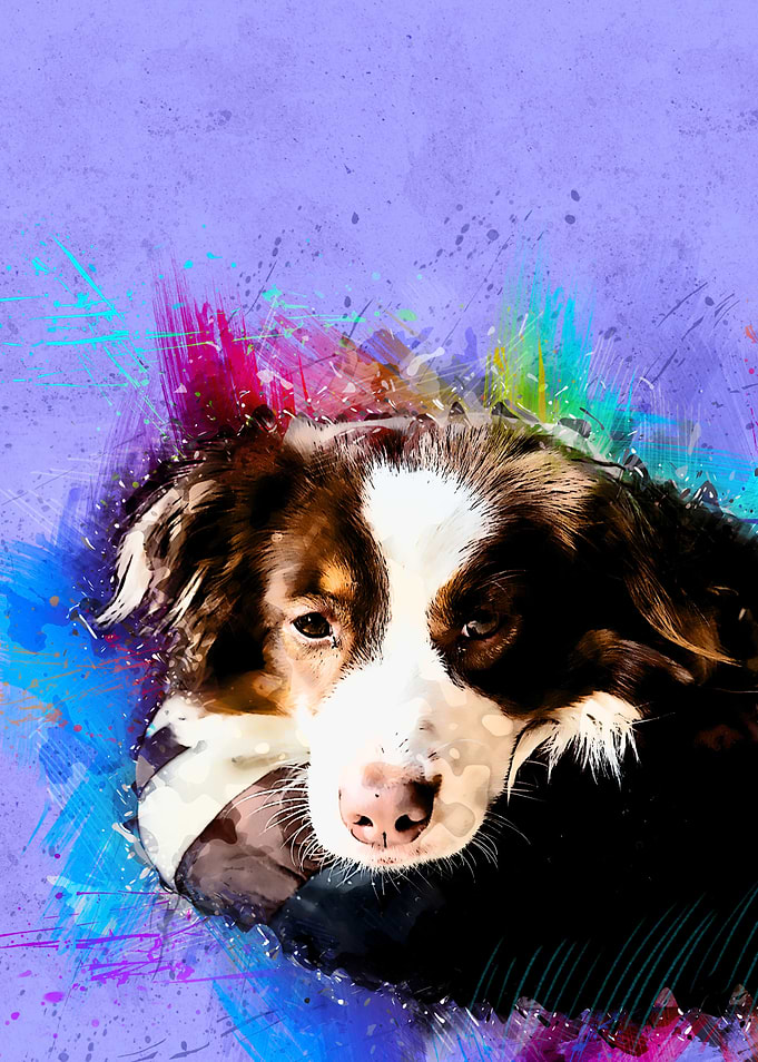 Dog 228