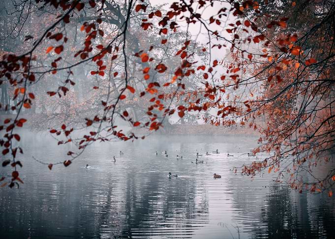 Autumn views and travels