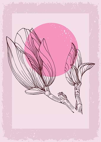 Magnolia