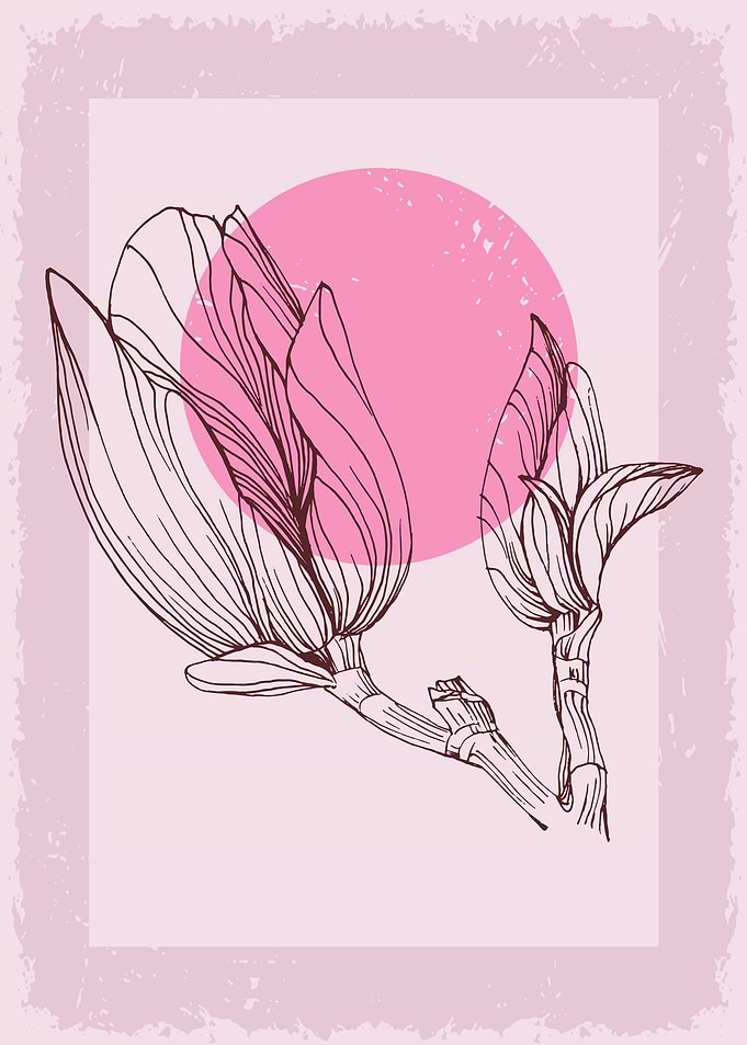 Magnolia