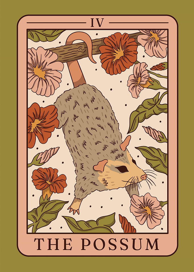 Possum in Tarot Card
