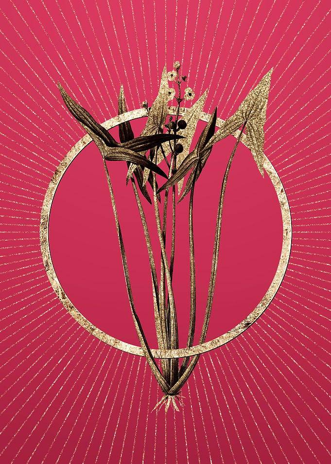 Arrowhead on Viva Magenta