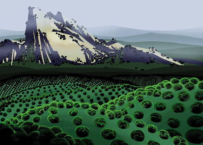 Spanish Hills