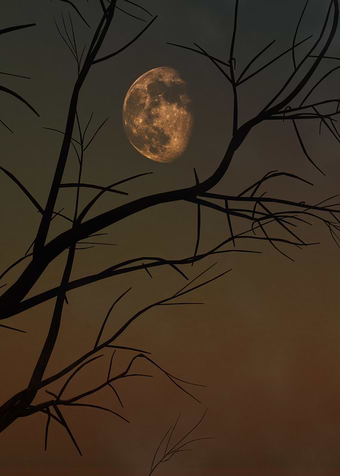 The Moon 3D Surrealism